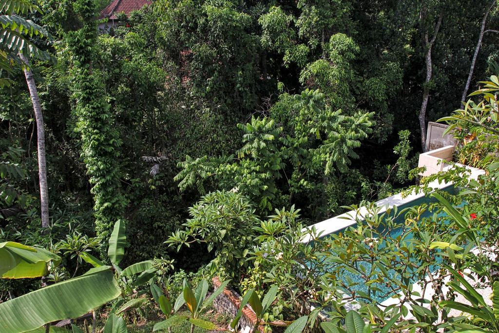 Bismajaya Bungalow أوبود المظهر الخارجي الصورة